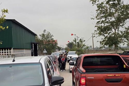 Đất đấu giá tại Nghệ An 'nóng' lên từng ngày