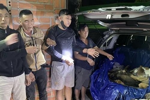 Triệt phá đường dây trộm cắp và tiêu thụ chó mèo 'khủng' ở Tây Ninh