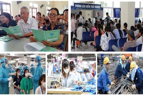 Bảo hiểm xã hội TP Hồ Chí Minh hướng dẫn mức đóng bảo hiểm kể từ ngày 1/1/2026
