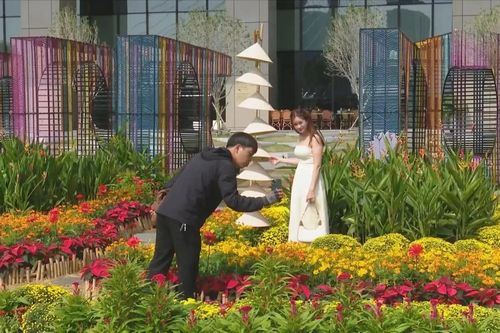 Vườn hoa ven sông TP.HCM khoe sắc Tết