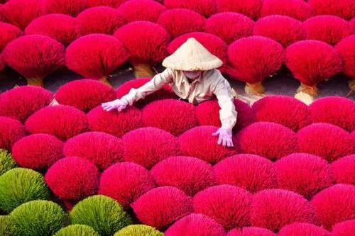 Làng hương Quảng Phú Cầu tất bật vào vụ Tết