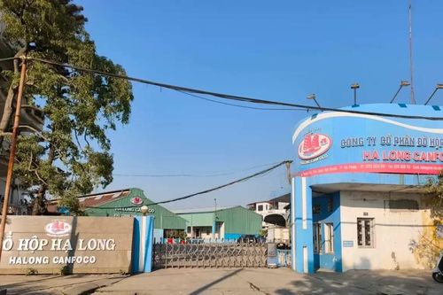 Lãnh đạo Đồ Hộp Hạ Long đồng loạt từ nhiệm