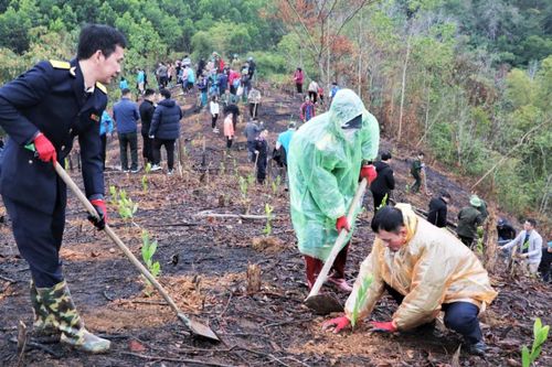 Triển khai Nghị định 258/2025/NĐ-CP về công viên, cây xanh, mặt nước