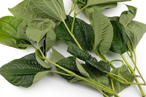 Loại rau vứt đâu cũng sống, người Việt chỉ ăn lá còn phần thân là 'thần dược' thì thường bỏ vào thùng rác
