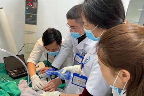 Cấp cứu kịp thời, chuyển tuyến an toàn ca sinh non 28 tuần nặng 900 gram
