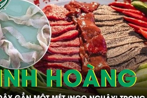 Kinh hoàng sán dây gần một mét ngọ nguậy trong ruột