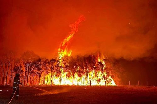 Vì sao Australia nóng đỉnh điểm khi thế giới đang bước vào mùa đông?
