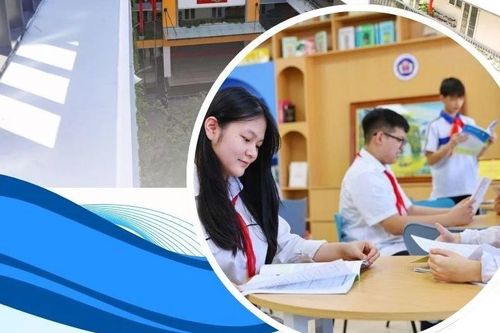 Bốn nhóm nhiệm vụ, giải pháp triển khai hiệu quả bộ sách giáo khoa thống nhất