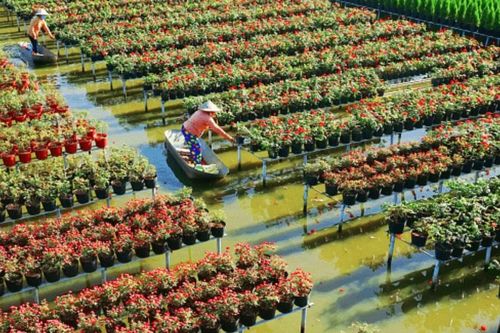 ST4SD - đòn bẩy hợp tác tăng trưởng du lịch xanh giữa Việt Nam và Thụy Sĩ