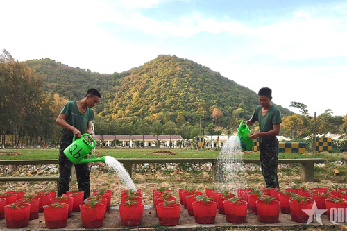 Bộ đội Trung đoàn 20 gieo những mầm xuân