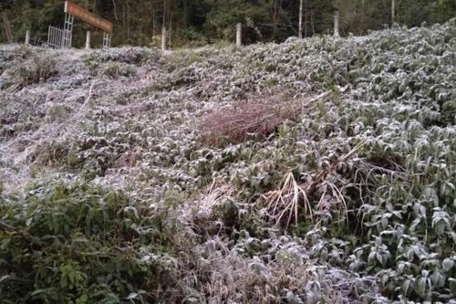 Băng giá phủ trắng vùng núi Nghệ An