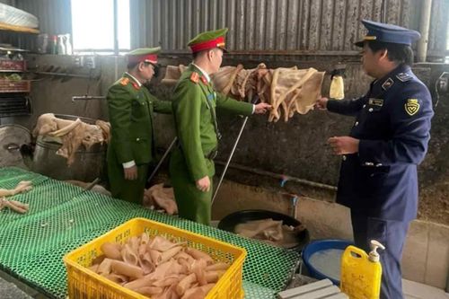 Phát hiện hàng tấn da heo, măng tươi không rõ nguồn gốc, xuất xứ