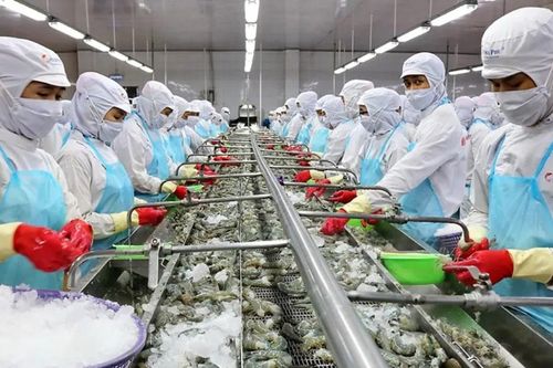 Kết quả thực tiễn - nền tảng của niềm tin - Bài 2: Khi những con số 'biết nói'