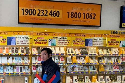 'Đạo chích' khoắng cửa hàng Thế giới Di động ở Hải Phòng sa lưới