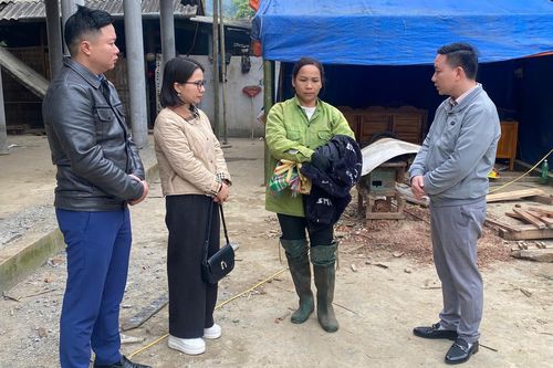 Xác minh thông tin về vụ việc bạo lực học đường tại Lào Cai