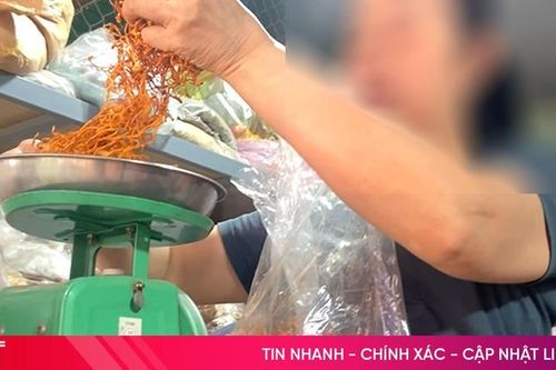 Đông trùng hạ thảo giá rẻ bất thường, tiềm ẩn nhiều rủi ro