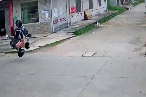 Va vào dây điện rơi, người phụ nữ đi xe máy bị nhấc bổng rồi quật ngã xuống đường