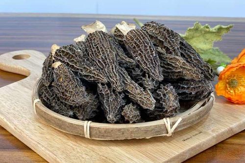Loài nấm người Việt đi rừng hái chơi, Tây trả 13 triệu đồng/kg vẫn khan hiếm