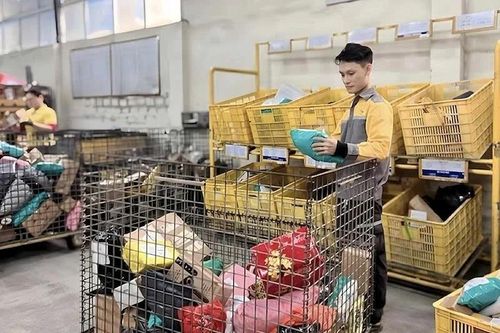Bưu điện 'chạy đua' chuyển phát mùa cao điểm