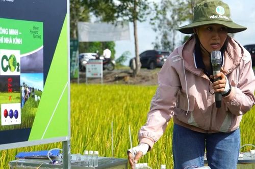 Thiết lập và vận hành hệ thống MRV và cơ sở dữ liệu phát thải khí nhà kính trong trồng trọt