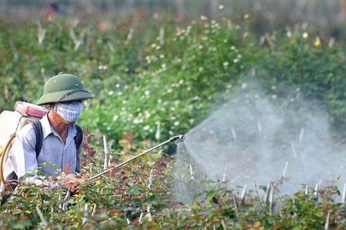 Tăng tỷ lệ thuốc sinh học trong danh mục thuốc bảo vệ thực vật mới