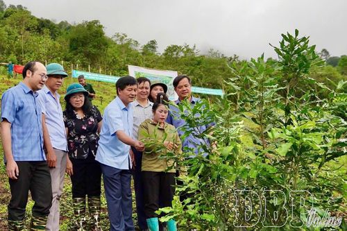Chuyển đổi cây trồng, phát triển nông nghiệp bền vững