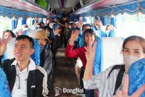 Những chuyến xe Tết nghĩa tình