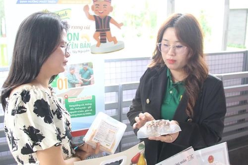 Gia Lai đề nghị phân hạng OCOP 5 sao đối với 5 sản phẩm