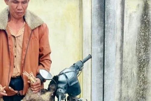 Đối tượng trộm gà liên tiếp tái phạm