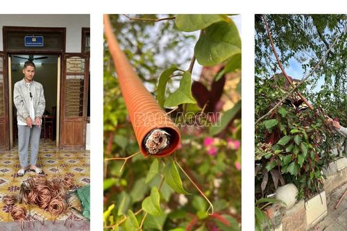 Công an phường Yên Bái bắt giữ đối tượng trộm cắp dây điện chiếu sáng