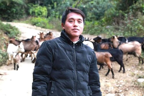 Bám đất, bám bản vươn lên từ chăn nuôi nơi vùng cao