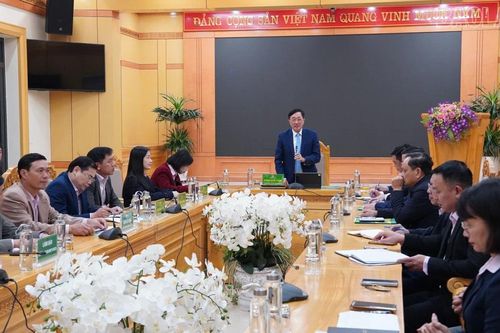 Đoàn công tác Ngân hàng Chính sách xã hội Trung ương làm việc với Chi nhánh tỉnh Lào Cai