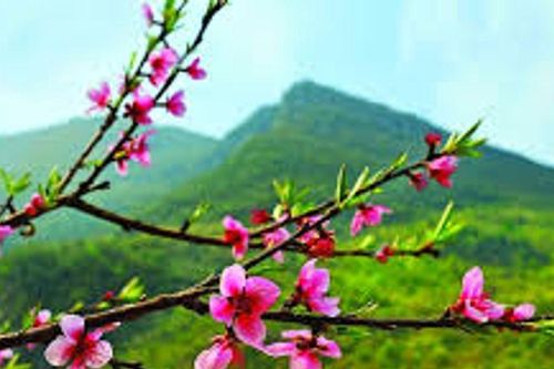 Mùa xuân và ước mơ