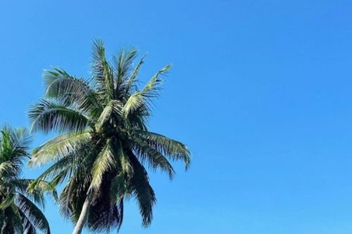 Đảo Nam Du: Vẻ đẹp hoang sơ khiến siêu mẫu Anh Thư khen ngợi hết lời