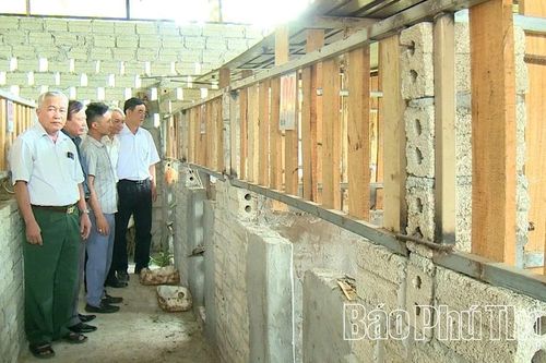 Đánh thức vùng đất khó từ mô hình chăn nuôi hươu liên kết