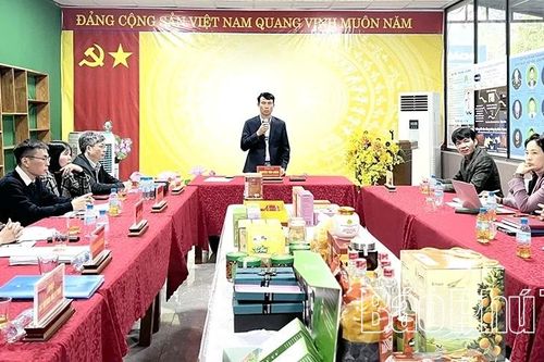 Đánh giá, phân hạng 46 sản phẩm OCOP