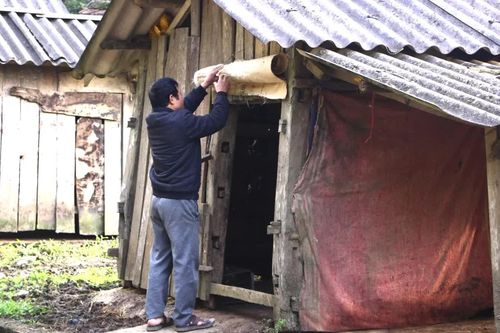 Chủ động các biện pháp bảo vệ đàn gia súc trong rét đậm