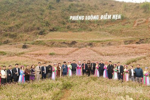 Lễ hội hoa Tam giác mạch xã Yên Cường