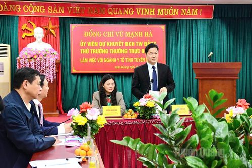 Thứ trưởng Thường trực Bộ Y tế Vũ Mạnh Hà làm việc với ngành Y tế Tuyên Quang