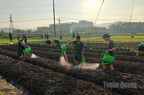 Tăng gia sản xuất tại Trung đoàn 148