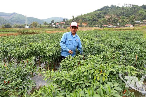 Nỗ lực giảm nghèo, bảo đảm an sinh xã hội