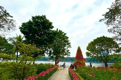 Ngày 11/1 chính thức được xác lập là Ngày Cây xanh Việt Nam