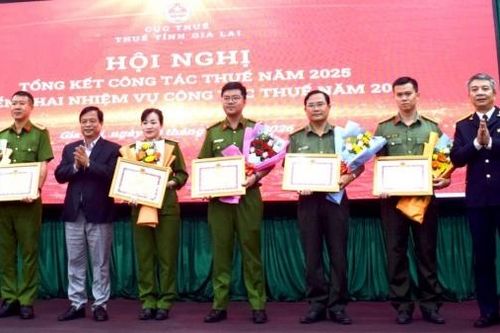 Thuế tỉnh Gia Lai thu nội địa hơn 27.700 tỷ đồng, vượt dự toán giao hơn 40%