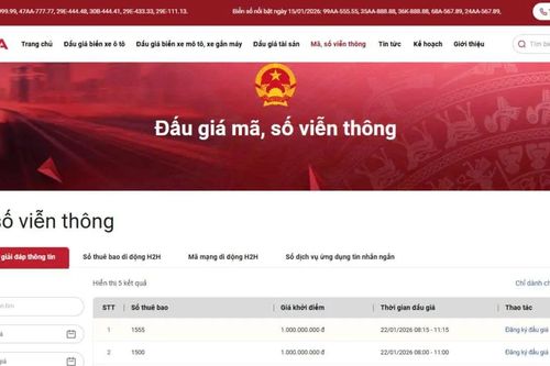 Tổ chức đấu giá quyền sử dụng mã, số viễn thông