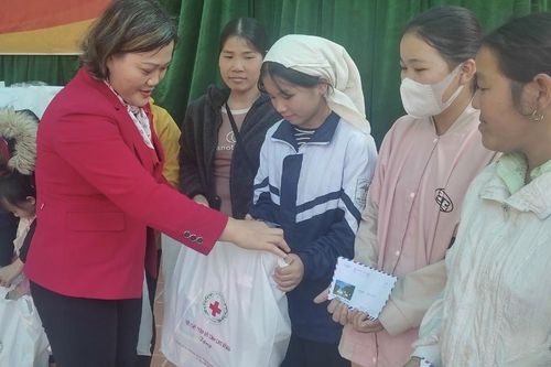 Hội Chữ Thập đỏ tỉnh triển khai chương trình 'Tết Nhân ái' Xuân Bính Ngọ năm 2026