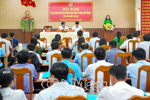 Hơn 65.000 nông dân được tiếp cận vay vốn