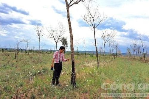 Tỉnh Gia Lai thu hồi hàng trăm héc-ta đất tại dự án trồng cao su của Tập đoàn Đức Long