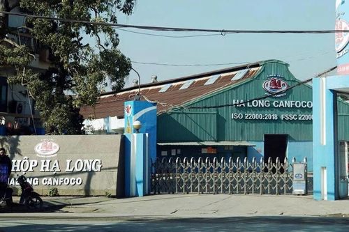 Công ty đồ hộp Hạ Long hoạt động thế nào, ai đang quản lý?