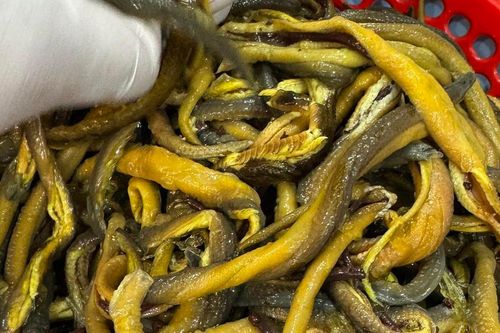 Loại thịt 'bổ hơn sâm' không chỉ làm nhiều món ngon còn là di sản văn hóa phi vật thể quốc gia, đặc sản Nghệ An