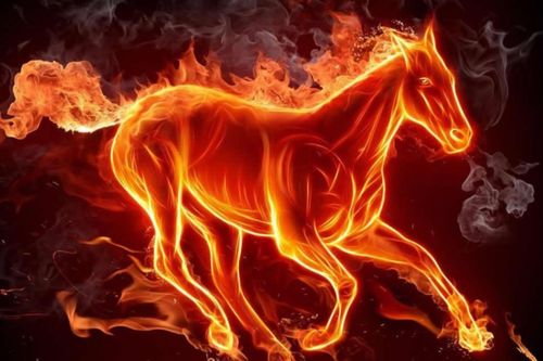 Dự báo những biến động trong năm tuổi Bính Ngọ 2026